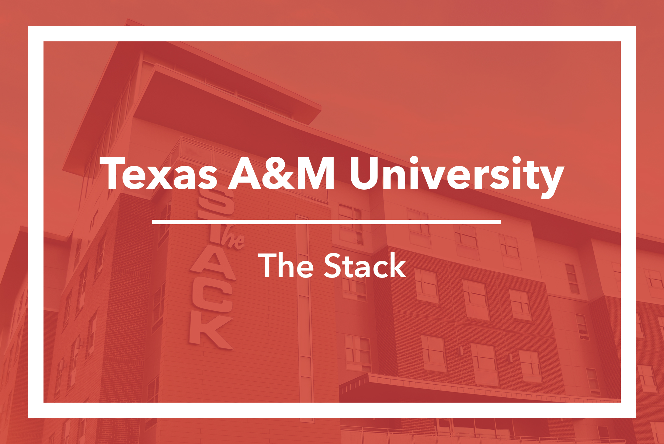 texas a&m university